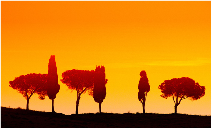 tuscany #8025 "Tuscany evening atmosphere"