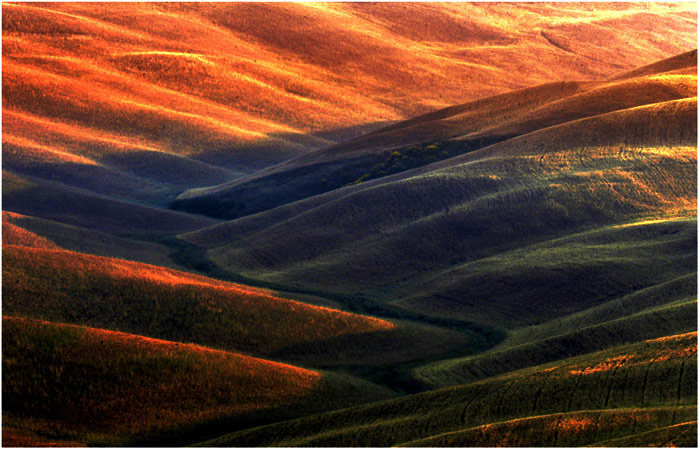 tuscany #8027 "Tuscany hills XV"