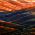 tuscany #8027 "Tuscany hills XV"