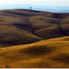 Tuscany after Harvest