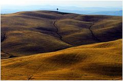 Tuscany after Harvest