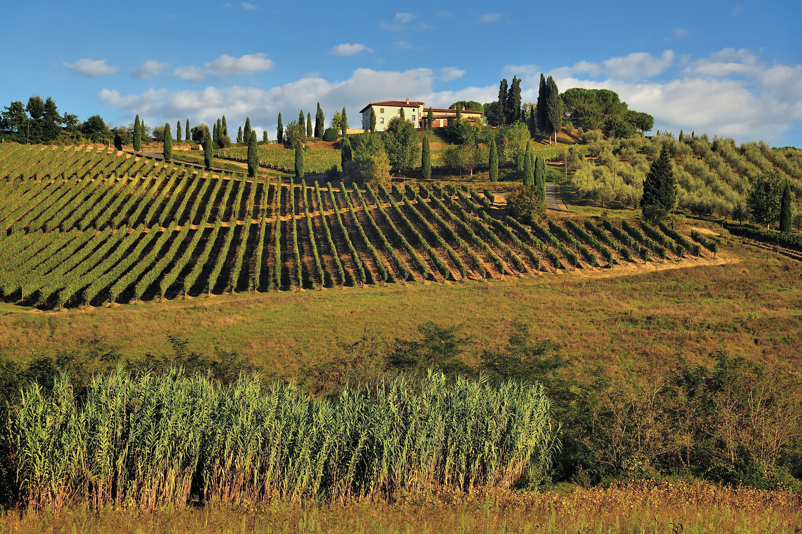 *Tuscany afternoon*