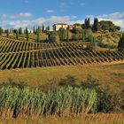 *Tuscany afternoon*