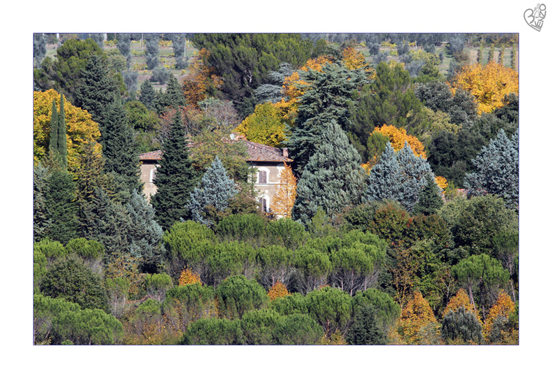 Tuscany colors 1