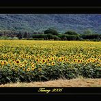 TUSCANY (colors)