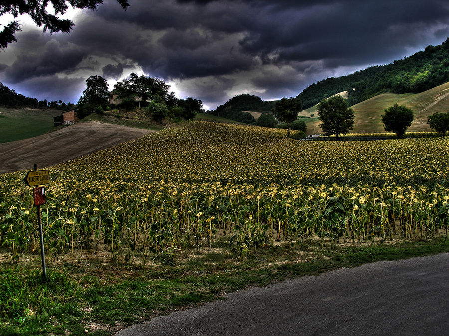 Tuscany