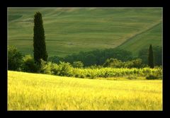 tuscany