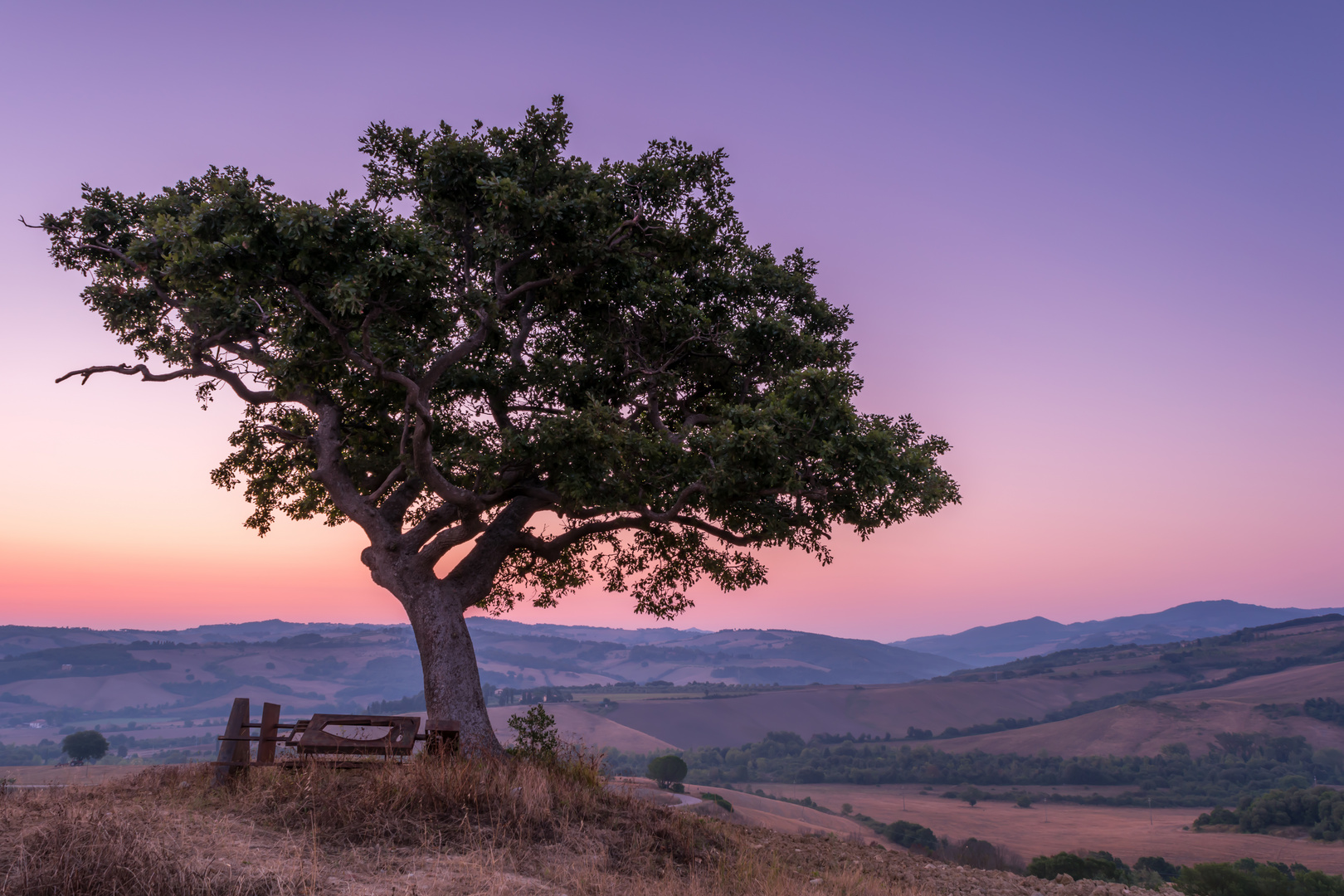 Tuscany Dream