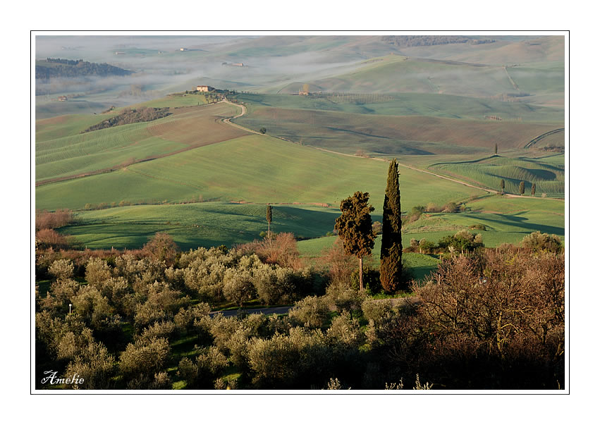 Tuscany- Dreamland in the Morning