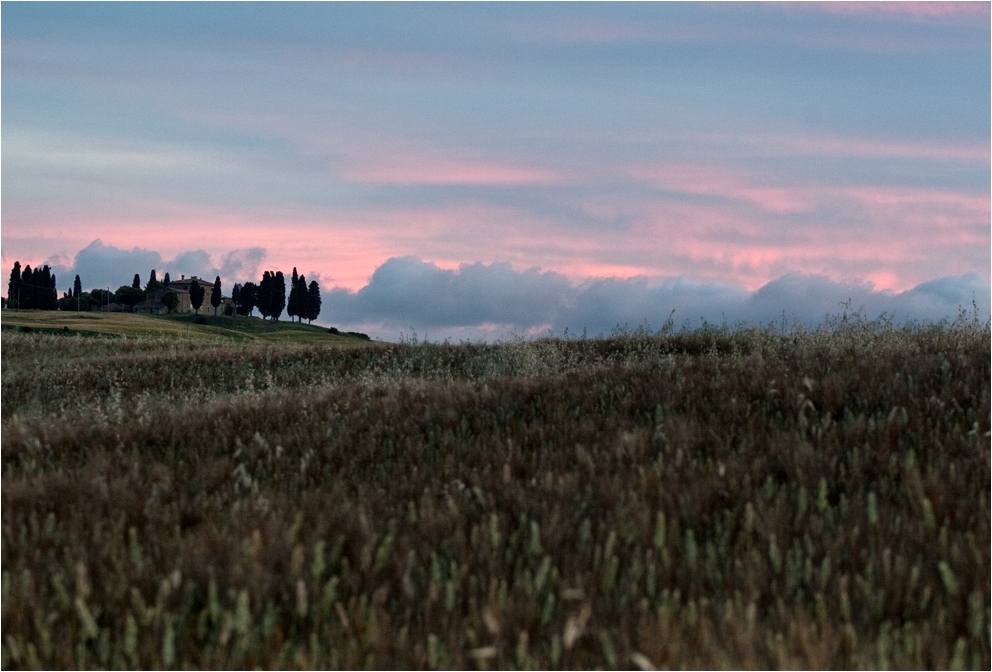 Tuscany Evening