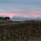 Tuscany Evening