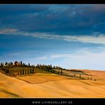 Tuscany Field