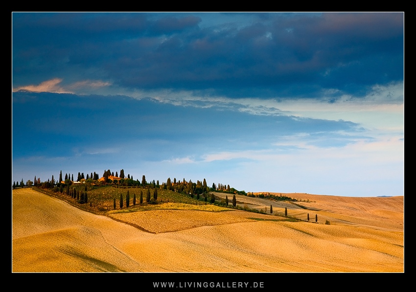 Tuscany Field
