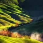 Tuscany field IV