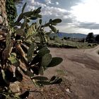 Tuscany Hills