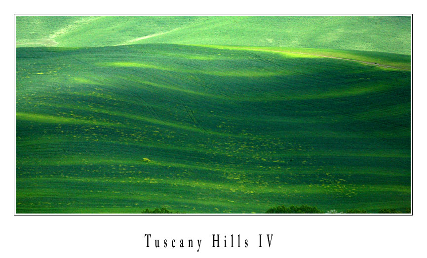 Tuscany Hills IV