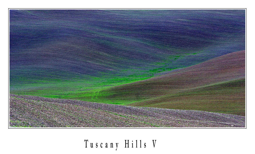 Tuscany Hills V