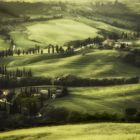 Tuscany in green 