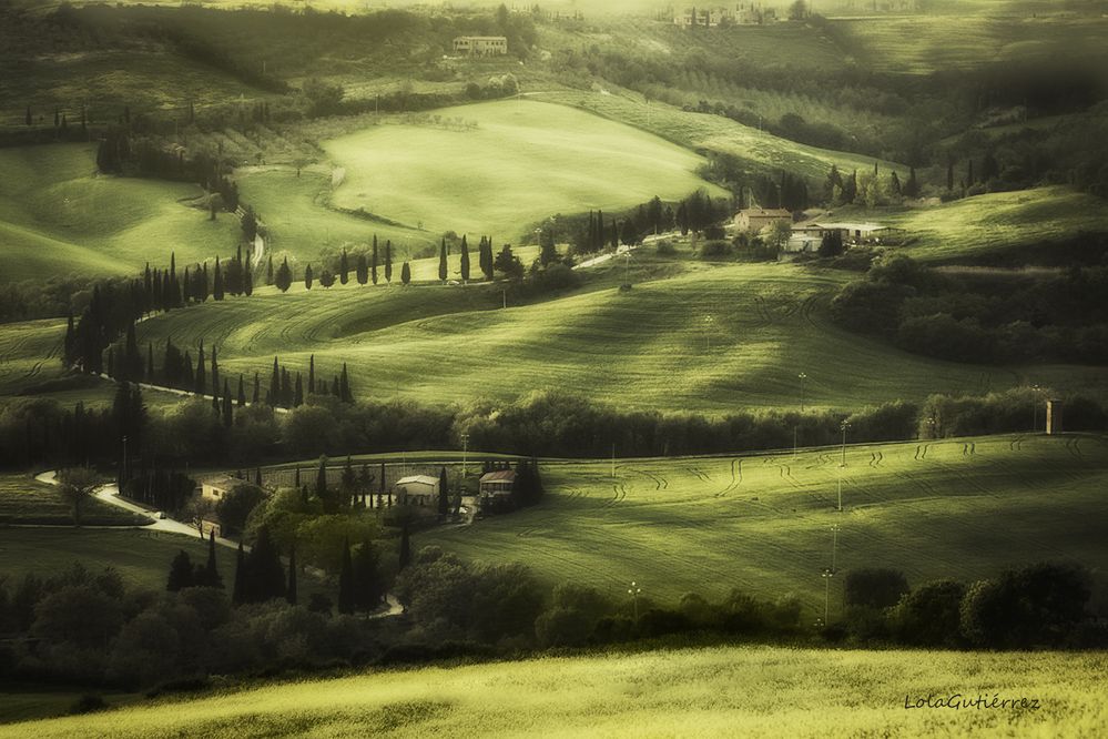 Tuscany in green 