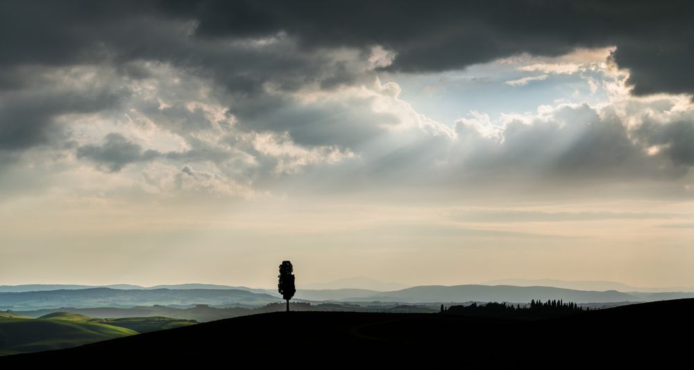 Tuscany in Spring