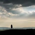 Tuscany in Spring