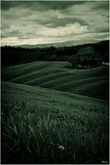 Tuscany IV