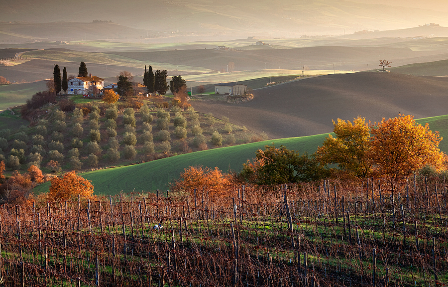 Tuscany land