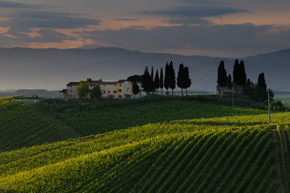 Tuscany Landscape