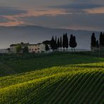 Tuscany Landscape