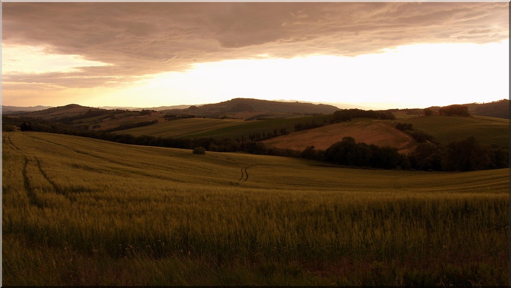 Tuscany landscape - paesaggio Toscano.