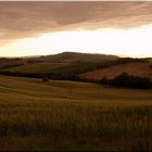 Tuscany landscape - paesaggio Toscano.