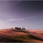 Tuscany Light III