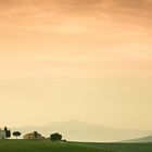 tuscany morning