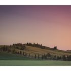 Tuscany Morning I