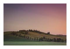 Tuscany Morning I