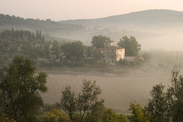 Tuscany Morning Mist