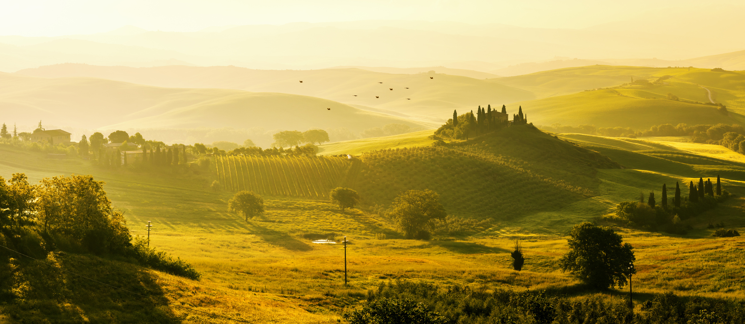 Tuscany - Podere Belvedère II