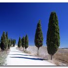 Tuscany road