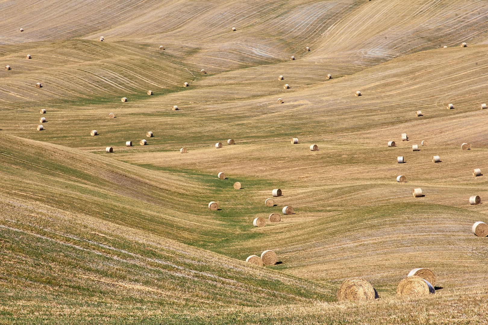 Tuscany - South of Sienna