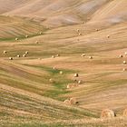 Tuscany - South of Sienna