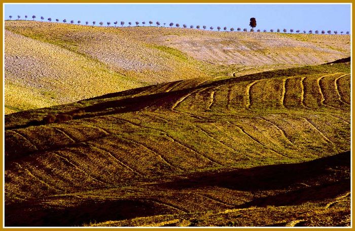 Tuscany Springtime VI