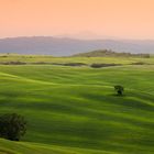 Tuscany Sunset