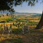 Tuscany view