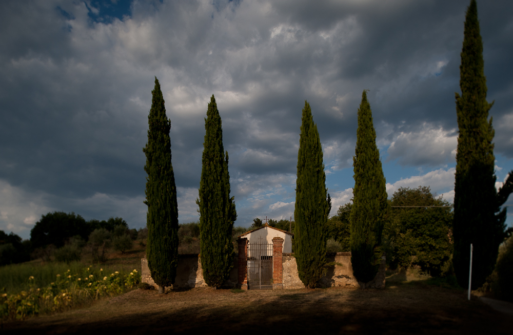 Tuscany Wheatherfront