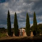 Tuscany Wheatherfront