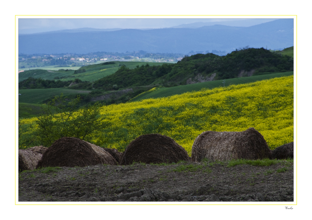 Tuscany XII