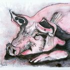 Tusche-Aquarell-Schwein