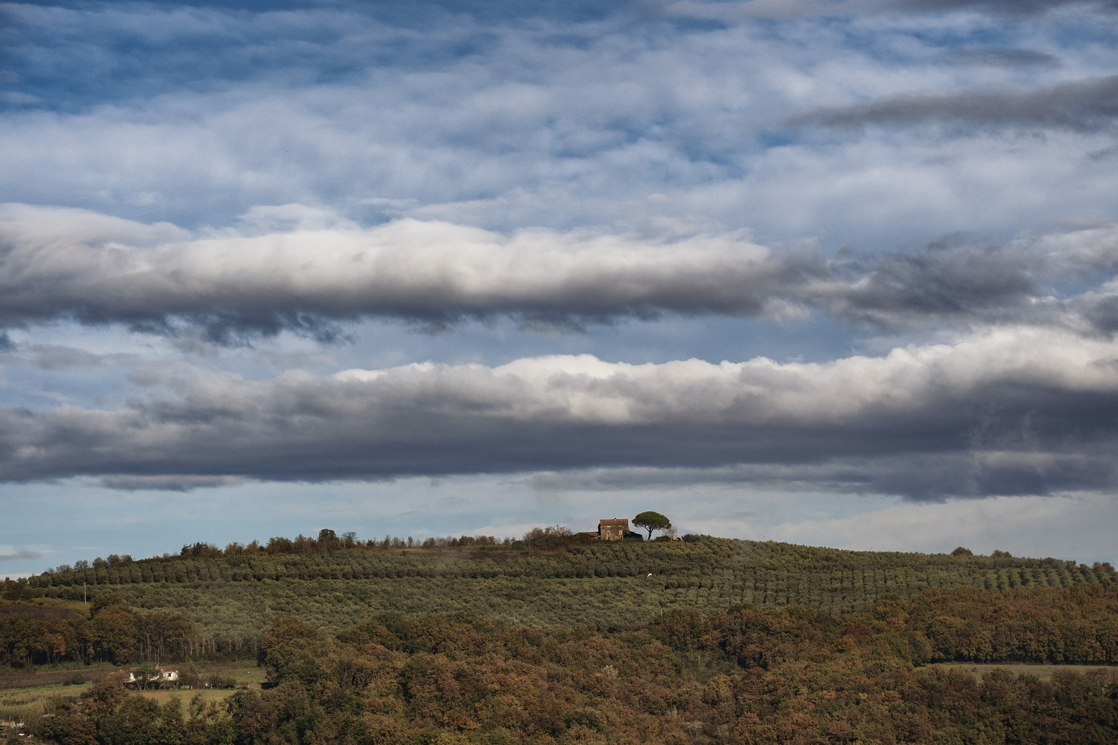 Tuscia