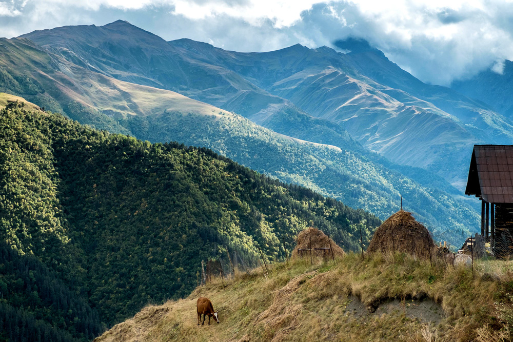 Tusheti