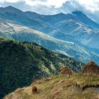 Tusheti